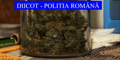 cannabis db