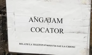 Cu ochii n 3,14 jpeg