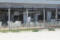 2 3 front nastase POZA scaun jpeg