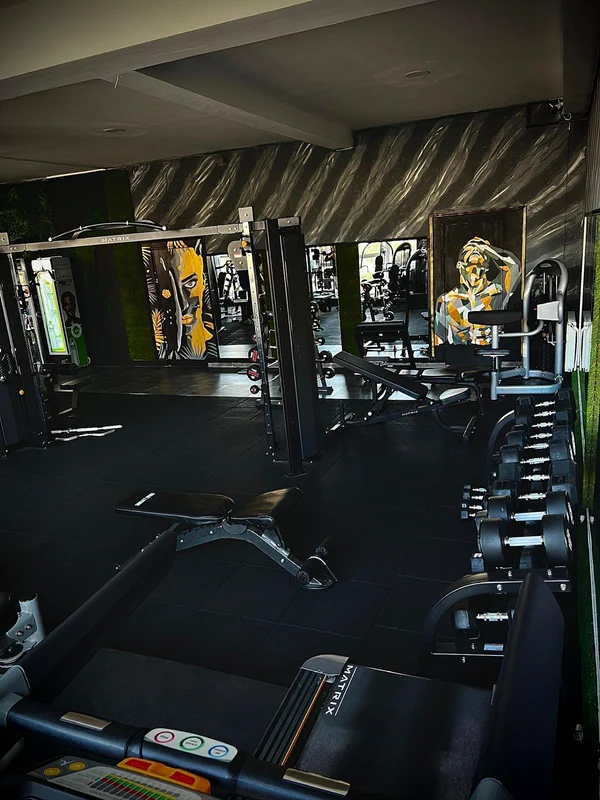 Sala de fitness a lui Alin Simoiu / FOTO: Click!