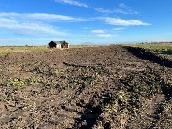 Baza de lucru a fost stabilită lângă Crângul Petrești FOTO: Prefectura Vrancea