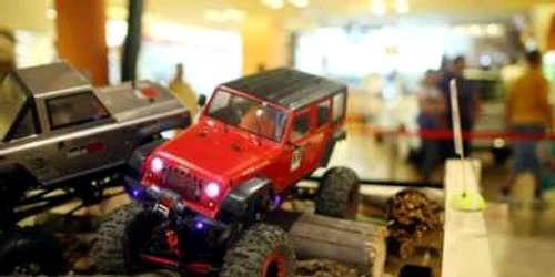 automodelism adevarul