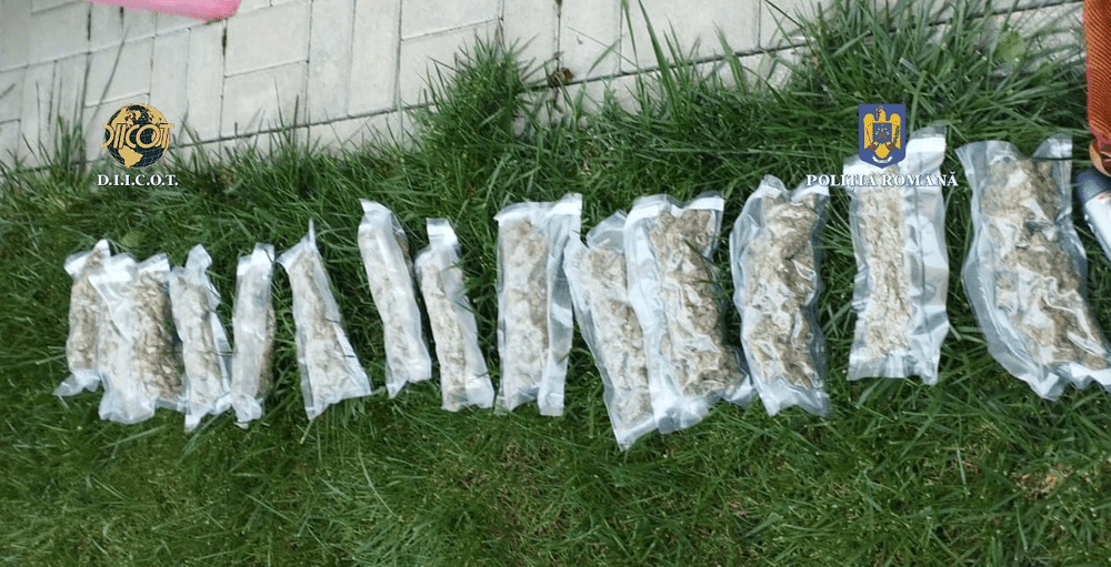 Doi vasluieni creșteau canabis ca pe cartofi. Drogul era vândut în Vaslui și Huși