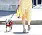*EXCLUSIVE* Kate Mara walks her beloved pooch Lucius in NYC jpeg