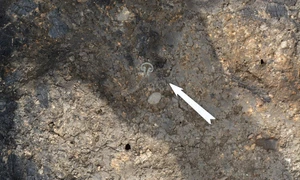 Depozitul de arme al taberei auxiliare de la Călugăreni (© Muzeul Județean Mureș)