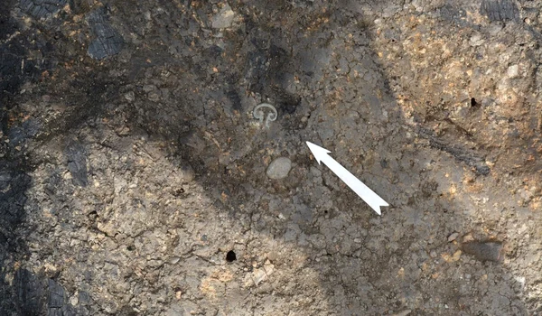 Depozitul de arme al taberei auxiliare de la Călugăreni (© Muzeul Județean Mureș)