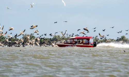 197189625 4257844237588202 30277435524383934 n jpeg