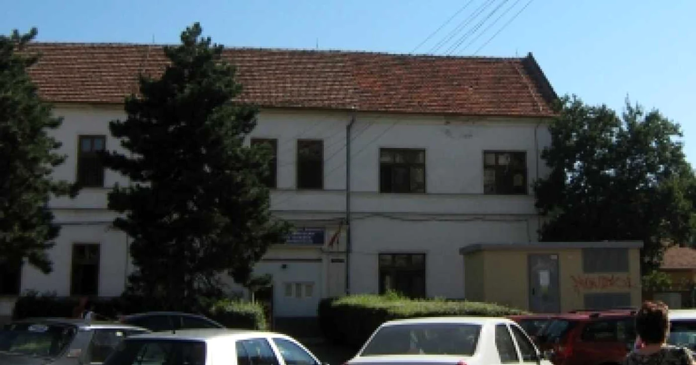Oradea: Măsuri speciale pentru limitarea cazurilor de gripă porcină