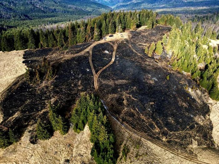 Vârful Furu Mic, afectat de un incendiu nefericit FOTO: Facebook Radu Iftinoiu