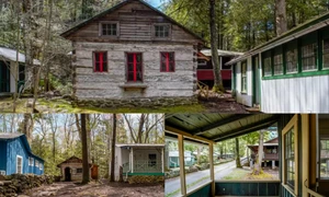 elkmont colaj businessinsider jpg