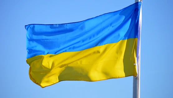 Steag Ucraina Pixabay jpg