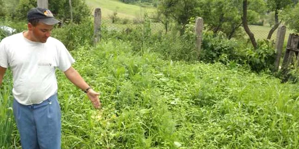 copil muscat de sarpe la mehedinti FOTO Corina Macavei 