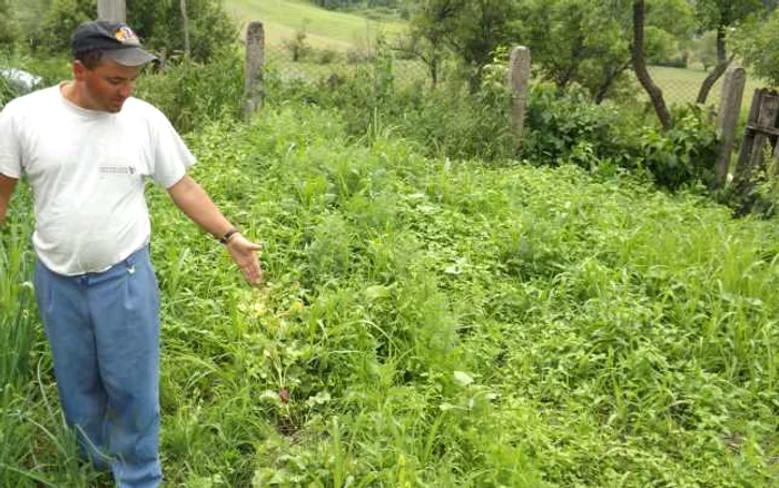 Unchiul arată locul unde a fost muşcată nepoata lui în grădina casei FOTO Corina Macavei