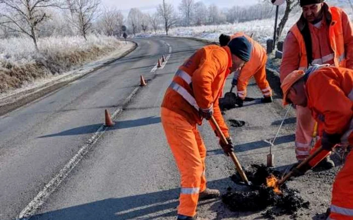 FOTOGRAFII: DRDP Timişoara.