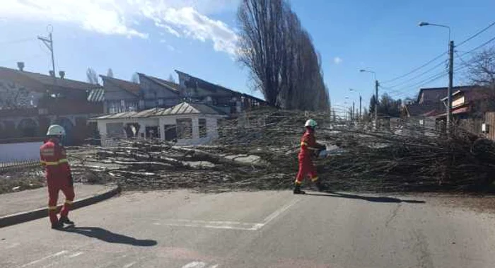 Vântul face ravagii în zona montană FOTO ISU Prahova