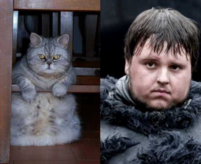 Samwell