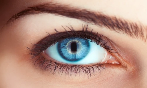 1 67869 original jpg jpeg