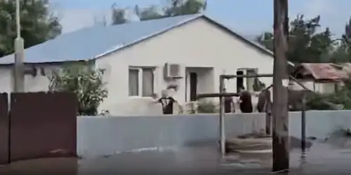 jandarm gif