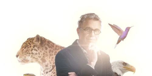 Header Animals Alberto picture 3 glow png png