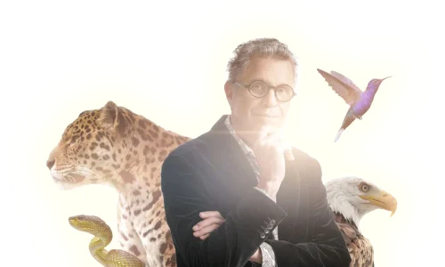 Header Animals Alberto picture 3 glow png png