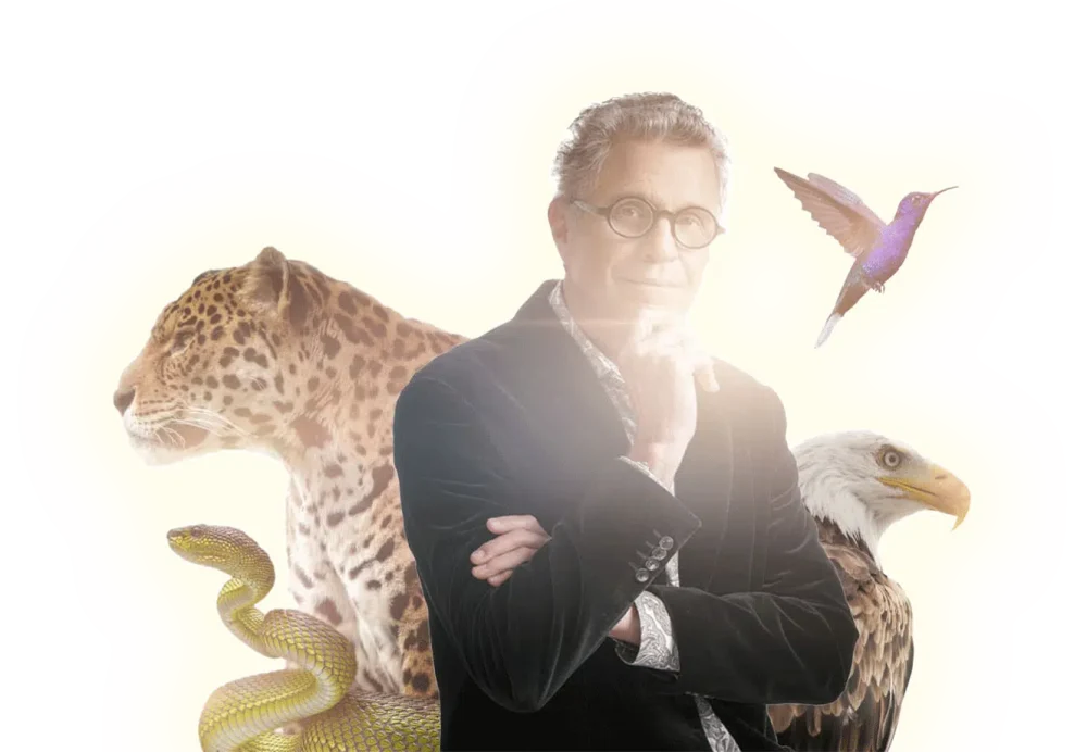 Puterea ceremoniei: cum să-ți reîncarci energia în 2026