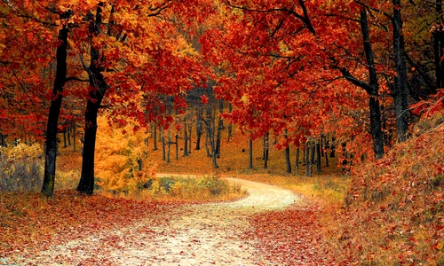road 1072821 1920 jpg