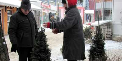 Tatiana Moroşan îşi prezintă brăduţii confecţionaţi din ramuri