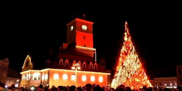 Bradul din Piaţa Sfatului este spectaculos