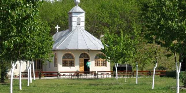 feredeu arad 