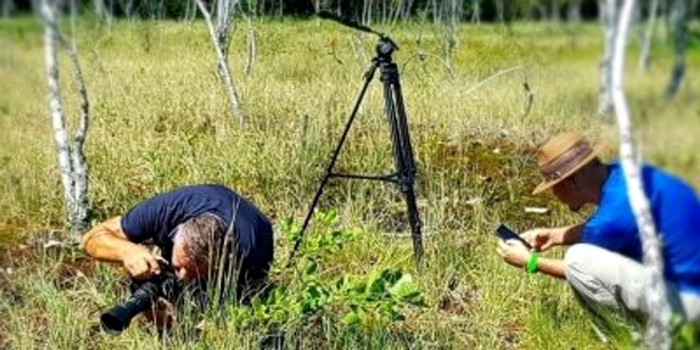 Locul enigmatic din Ţara Haţegului unde trăiesc plante carnivore foto remus suciu