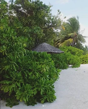 Lidia Buble Razvan Simion Maldive (1) jpeg