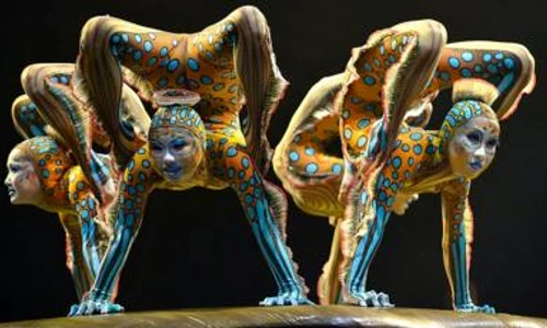 Spectacolele realizate de acrobații de la Cirque du Soleil sunt conoscute și apreciațe în întreaga lume  jpeg