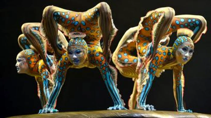 Spectacolele realizate de acrobații de la Cirque du Soleil sunt conoscute și apreciațe în întreaga lume