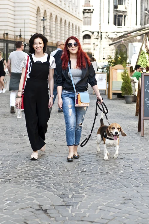 moda strazii