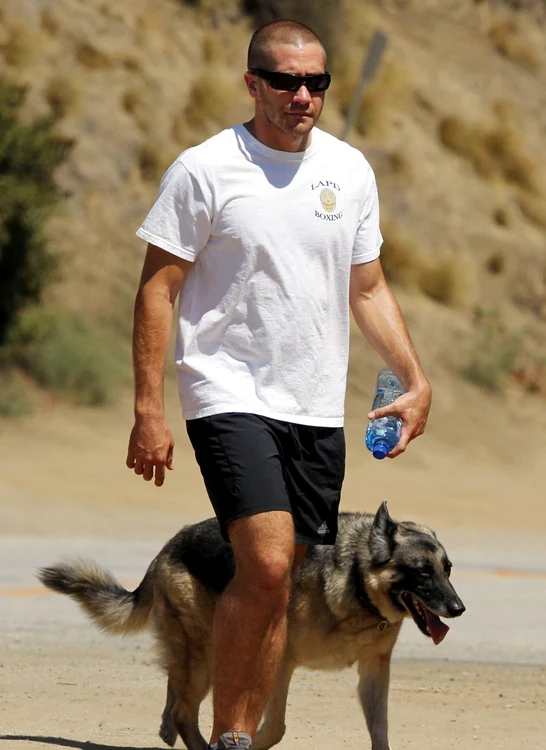 jake gyllenhaal cu cainele2 jpeg