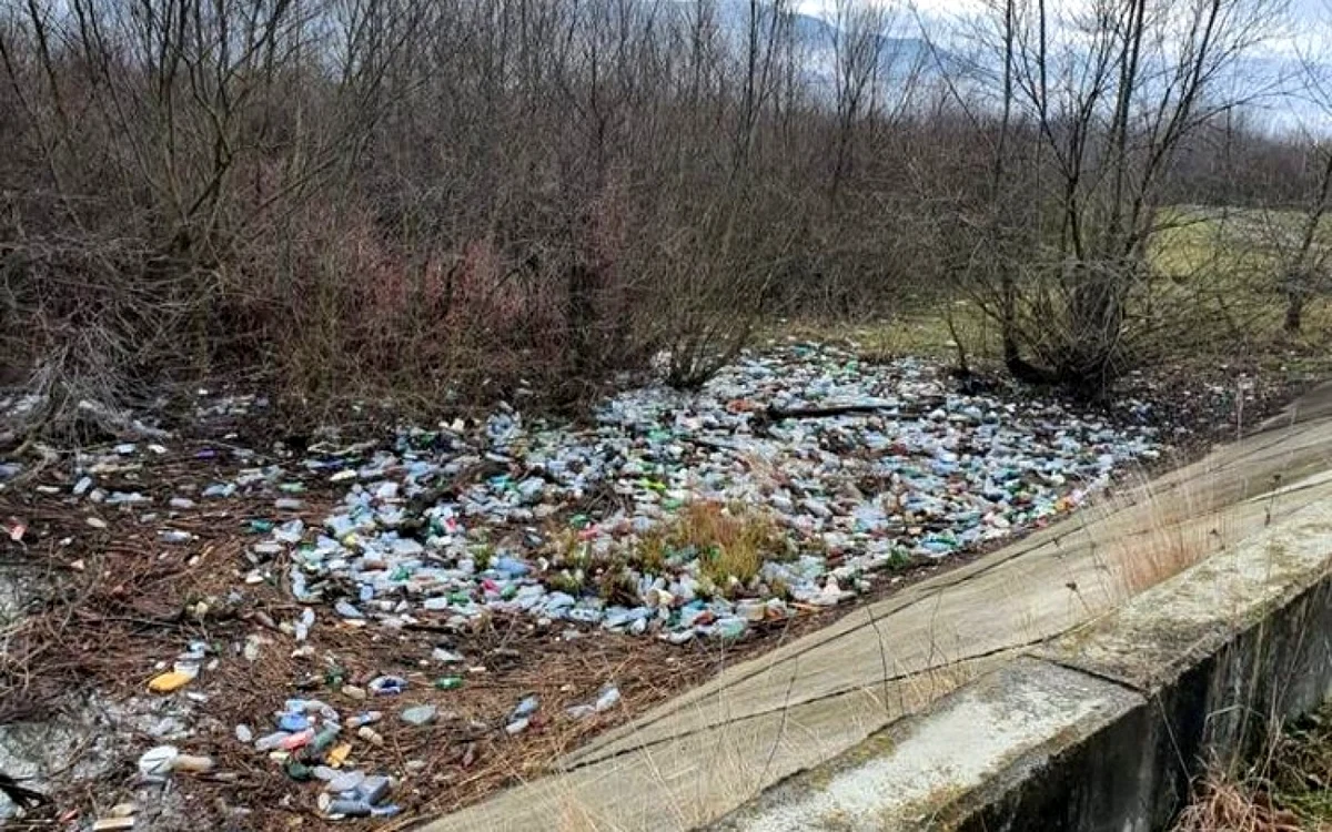 gunoaie adunate de pe malul lacului de acumulare santamaria orlea foto Garda de Mediu Hunedoara