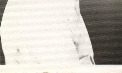 1506883 10202188929026331 6783756391593059898 n jpeg