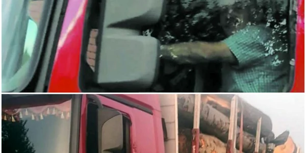 primar condamnat pentru transport ilegal de lemne jpg