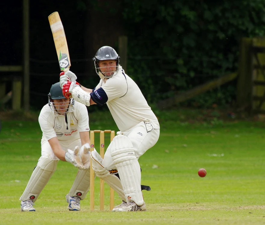cricket g567f46155 1280 jpg
