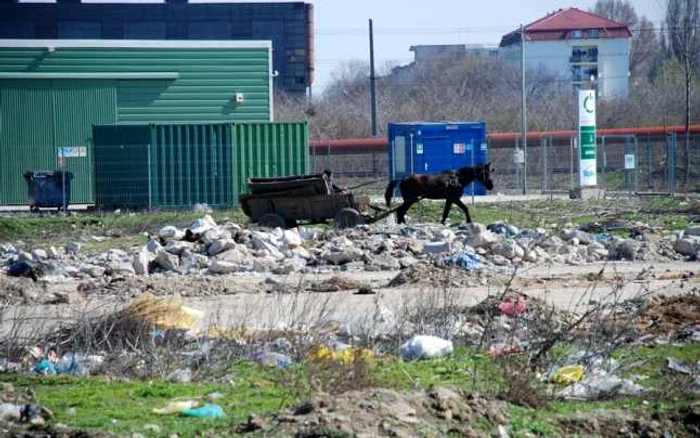 Posesorii de căruţe fac transporturi ilegale de deşeuri la marginea oraşului, iar amenzile aplicate de Poliţia Locală par a nu-i descuraja deloc  FOTO Florentin Coman