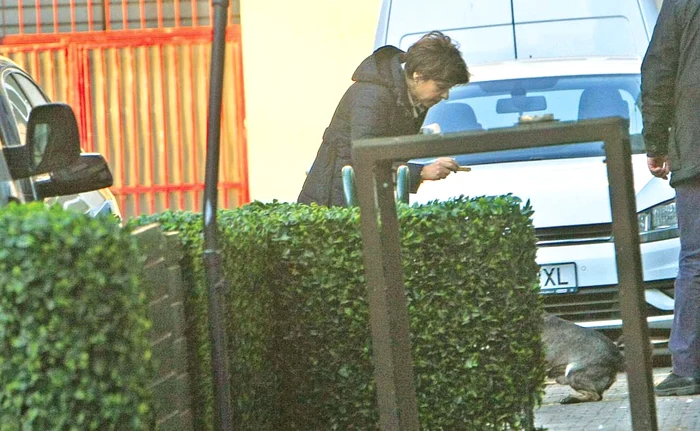 Cristiana l-a răsfăţat pe simpaticul maidanez cu bunătăţi