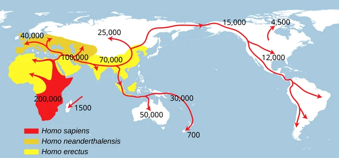 Răspândirea lui Homo Sapiens FOTO wikipedia