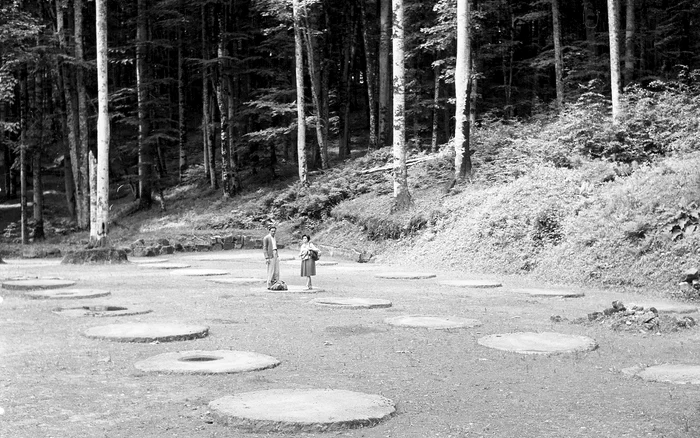 Sarmizegetusa Regia în 1964. Foto Szabó Tamás, Muzeul Etnografic al Transilvaniei.