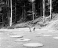 Sarmizegetusa Regia 1964  Foto Szabó Tamás, Muzeul Etnografic al Transilvaniei (37) 001 jpg