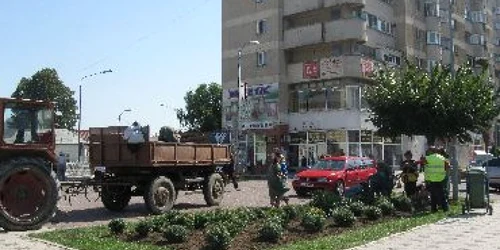 Bacău: Angajații de la Spații Verzi au demarat curățenia de toamnă