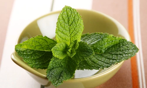 1 69893 original jpg jpeg