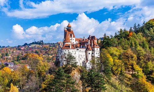 Bran foto shutterstock jpg