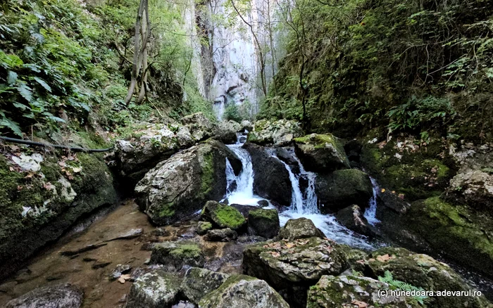 Drumul spre Peștera Șura mare. Foto: Daniel Guță