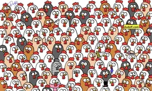 test jpg