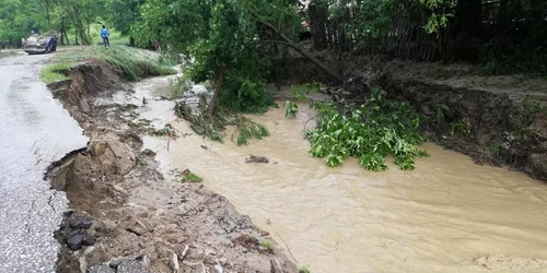 Viituri în comuna Goleşti - Vâlcea Foto Ana-Maria Carstea